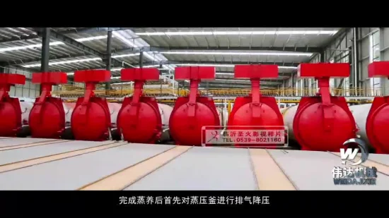 Línea de producción de paneles AAC de China Aislamiento térmico de material de construcción Planta de bloques de cal y arena Alc Mejor precio